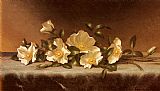 Martin Johnson Heade Cherokee Roses On A Light Gray Cloth painting